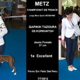 Tazoura Behaarde Naakthond/ Peludo 37 cm