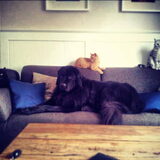 Foto van Anouk & Balou<3