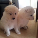 de twee zussen samen:-)