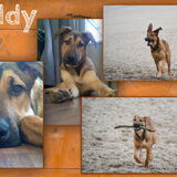 Buddy Aandoenlijk