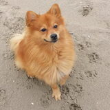Kleine poppetje
