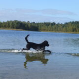 Liefst de hele dag, water, water , water