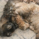 misty samen met haar broertje