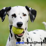 Shoot door pixelscout :) De fotoshoot is ten ere van een…