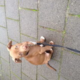 Foto van Mark