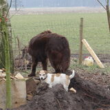 Foto van carl