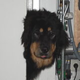 Ons nieuwsgierig aagje :-)