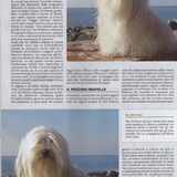 Foto van Xtine