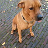 Foto van Paula en Keet
