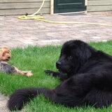 Samen met mijn vriendin Lizzy
