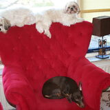 Sammy, Deva en Camila