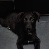 Foto van Gwendy & Bowser