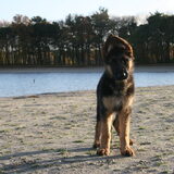 Foto van Gerben van tichelt