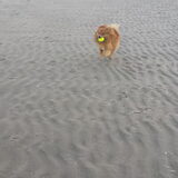 Foto van Melisa & Mylo