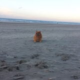 Foto van Melisa & Mylo
