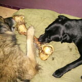 Samen delen...