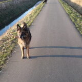 Wandelen zonder stok is niet wandelen