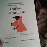 Opstartcursus behaald!