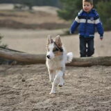 wandelen in de duinen