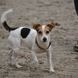 wandelen in de duinen