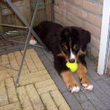 ons fotomodel.