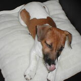 Foto van francisca