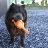 Dat is mijn lieve zohra nu inmiddels al twee jaar geweest,