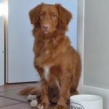 Foto van judith