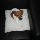 Foto van francisca