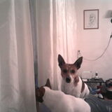 Foto van nora jazzy en poppy
