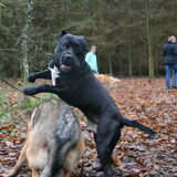 Foto van Femke & Storm