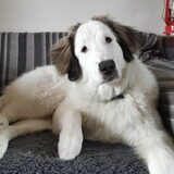 Foto van Fons & Isha