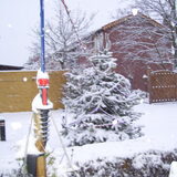 de buurt kerstboom.