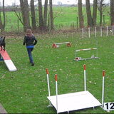 behendigheid les 9