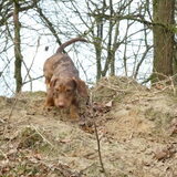 Foto van Maartje