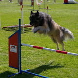 Hoogtesprong