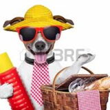 Foto van miralooks