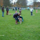 Foto van liesbeth,Turbo,Luna, Levi en Faith