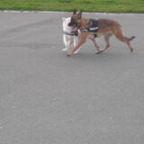 Spelen