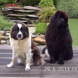 Seppe en Honey