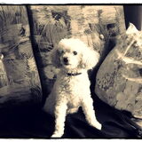 Strike a pose! R.I.P (miss you..)