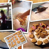 Hondenkoekjes