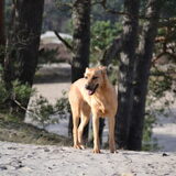 Foto van Lisanne, Misha, Tessa&Arrow