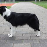 Foto van Lindsay