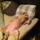 Lekker in bed slapen