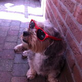 zomer