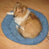 foto gemaakt voor Fanny en Sire:)
