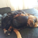 Samen slapen, so cute!