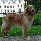 2,5 jaar