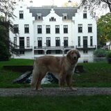 7 maanden